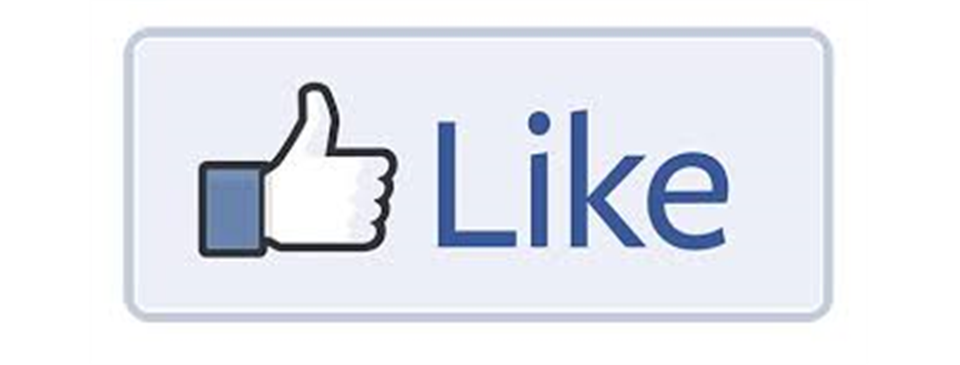 Like us on Facebook!!  Get updates on whats going on with MYSA!!